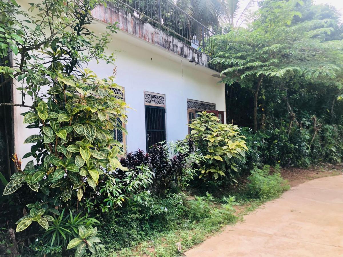 Thaaaru Villa 미리사 외부 사진